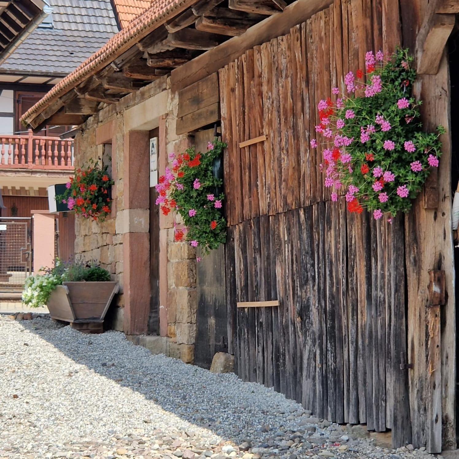 Chambres D'Hotes Chez Linda Stephane Le Passe Compose Preuschdorf Kültér fotó
